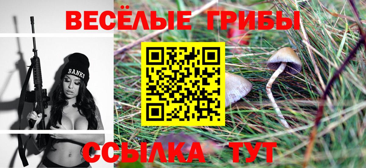 Димитровград  Галлюциногенные грибы Psilocybine cubensis  Вход с VPN 