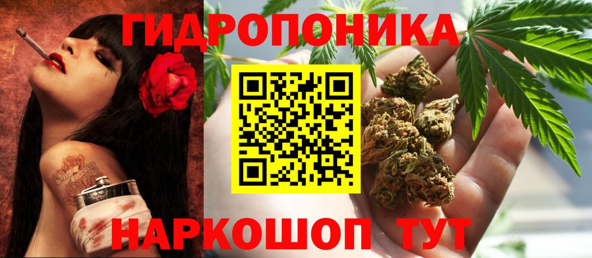 Бошки Шишки индика Димитровград